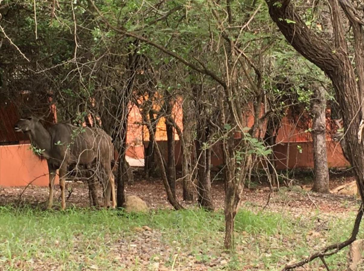 John And Noleen'S Place Marloth Park Exterior photo