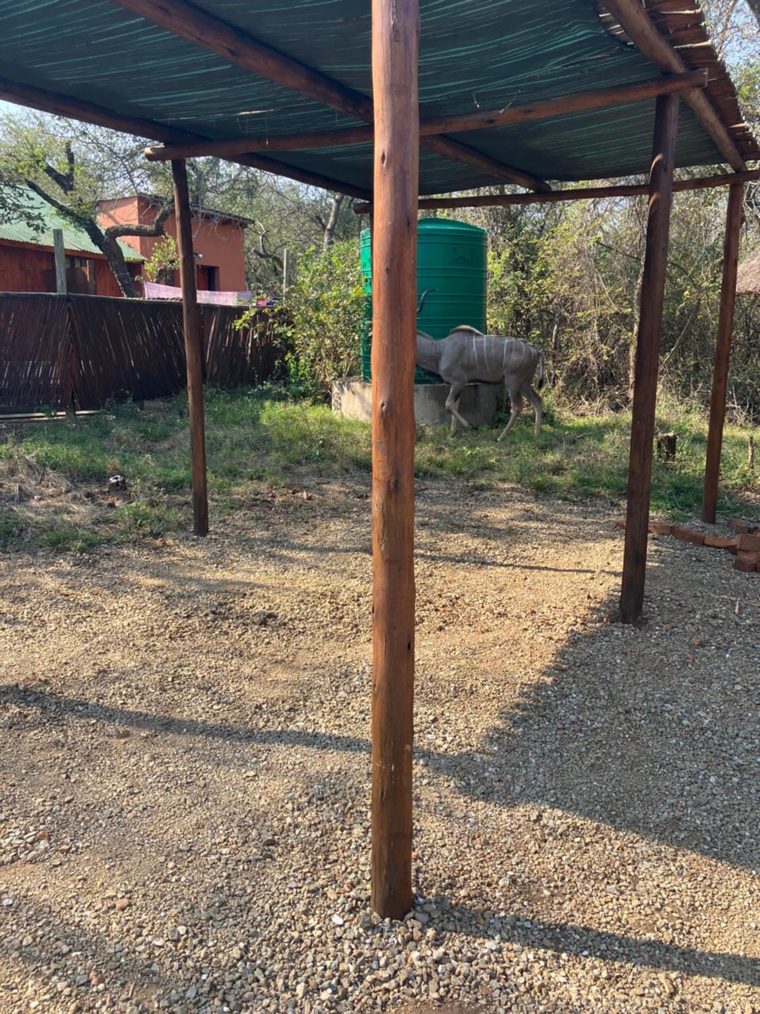 John And Noleen'S Place Marloth Park Exterior photo